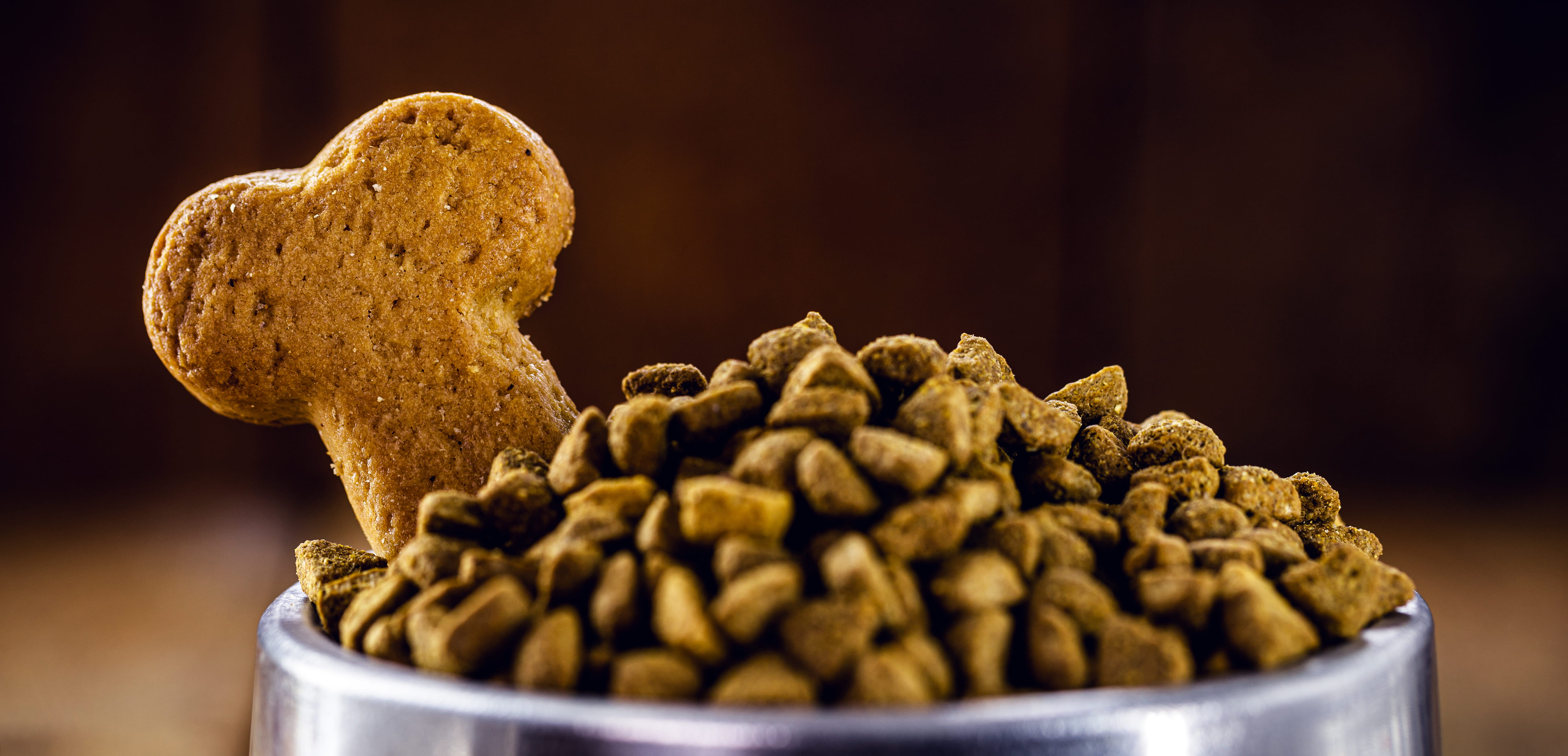Dog Food Chennai