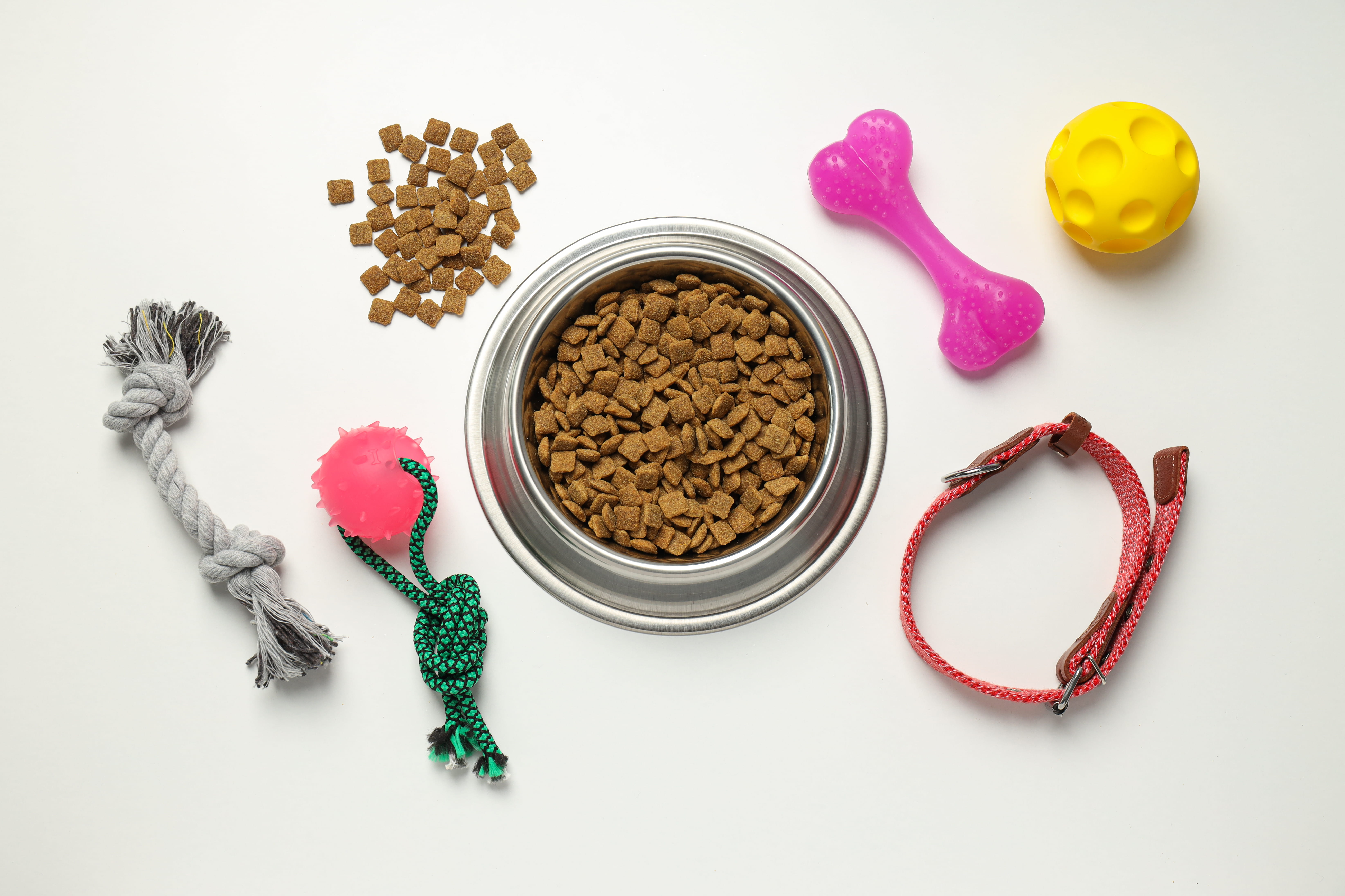 Best For Pet