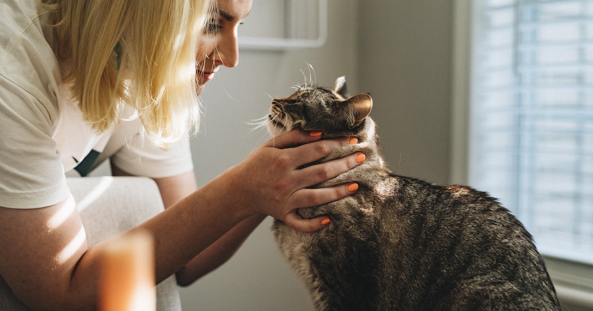 Best veterinary clinic in Chennai – Best For Pet